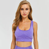 Workout Seamless Bra