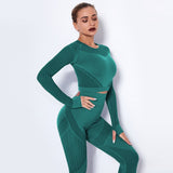 Mesh Seamless Crop Top