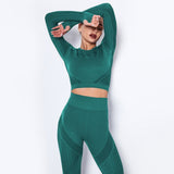 Mesh Seamless Crop Top