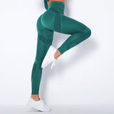 Mesh Seamless Tights