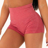 High Waist Seamless Shorts